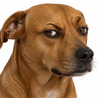 Anito_101977 profile picture